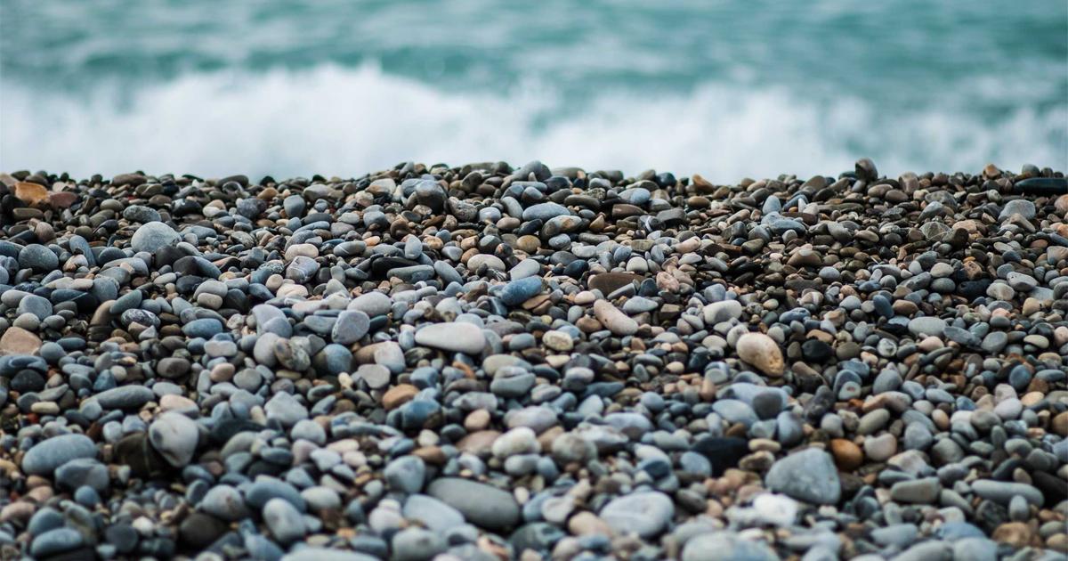 Signia Hearing Aid Reviews