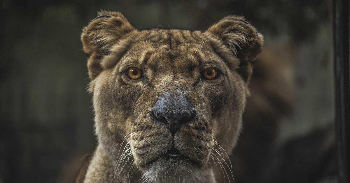 Aliexpress Reviews: Featured image showing e-commerce shopping concept