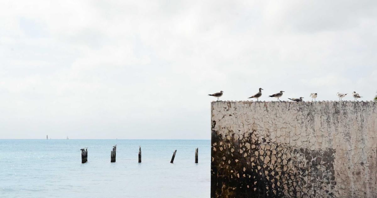 Beauty From Bees Review: Canadian Natural Skincare Worth the Hype?