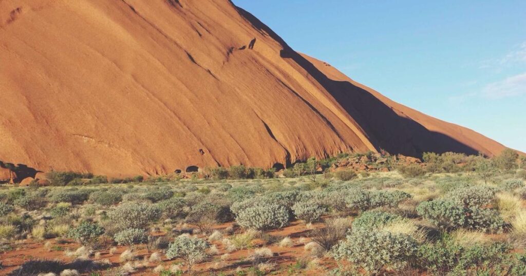 Bask and Lather Reviews: Featured image showing natural hair care products