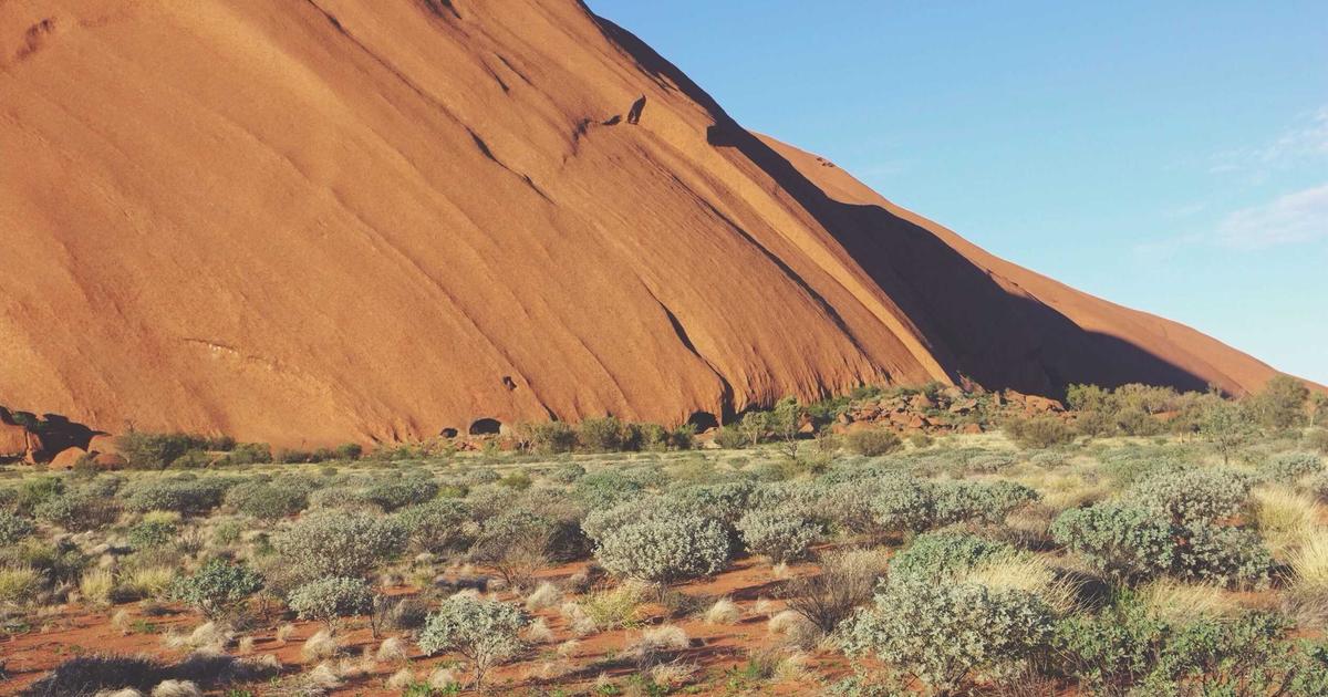 Bask and Lather Reviews: Featured image showing natural hair care products