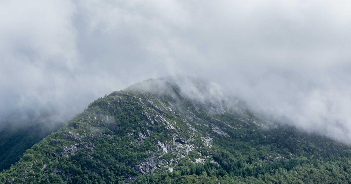 Rugs.com Reviews: Featured image showing home decor rugs and carpets