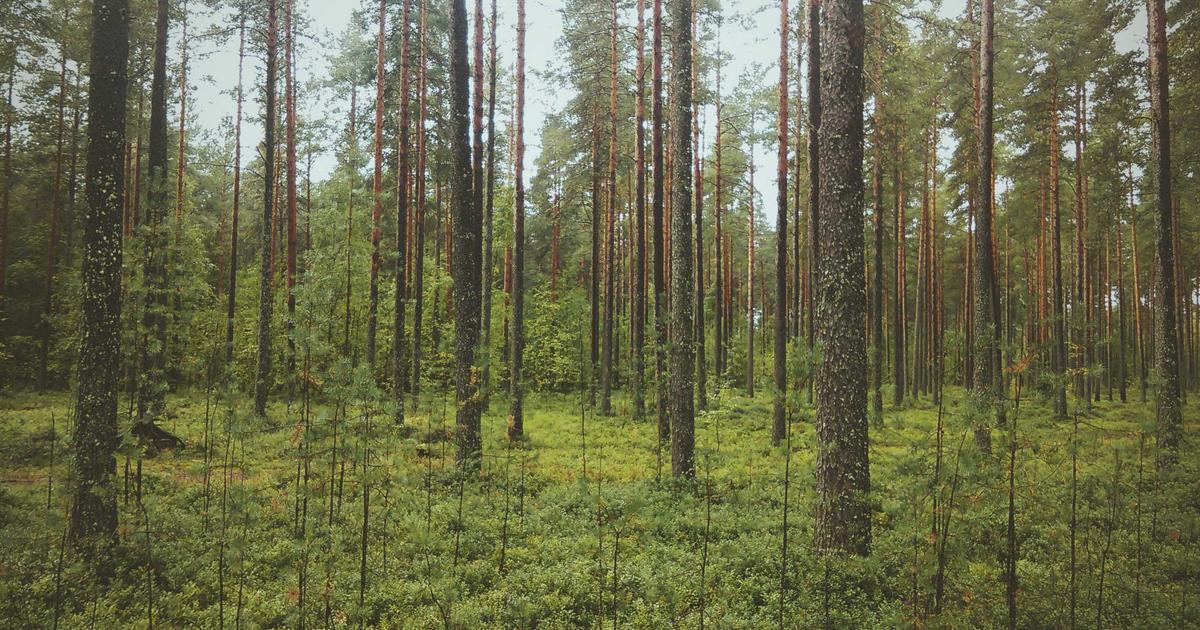 One Battle After Another movie review featured image